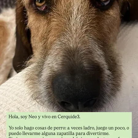 Cerquide3 Nyaraló