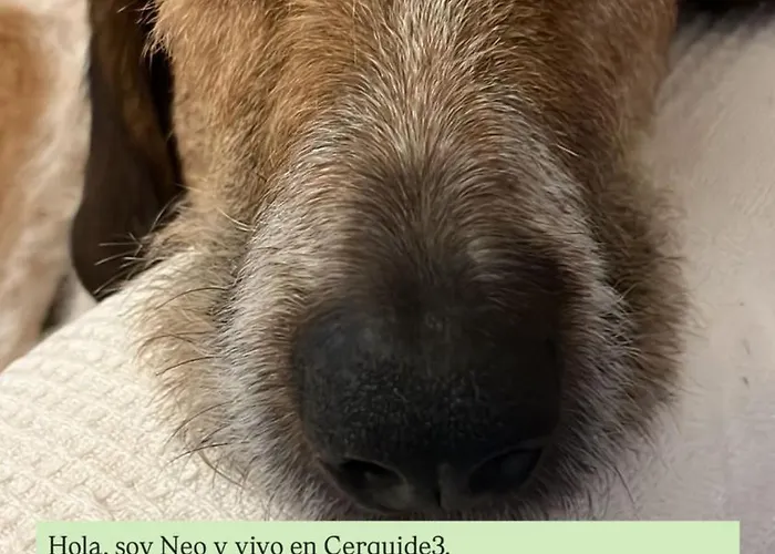 Cerquide3 Nyaraló